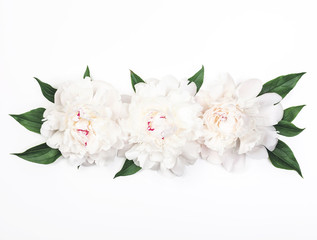 Three white peony flowers and leaves on white background. Top view. Flat lay.