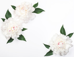 Frame of three white peony flowers and leaves on white background. Top view with copy space. Flat lay.