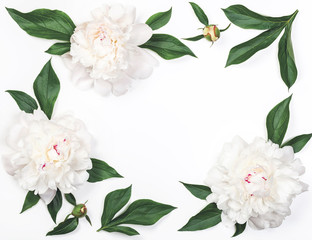 Frame of white peony flowers and leaves isolated on white background. Top view. Flat lay.
