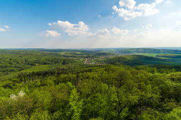 Top view of the area green forest and blue sky with clouds.