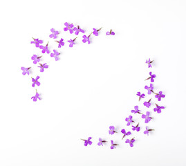 Round frame wreath made of meadow flowers isolated on white background. Top view. Flat lay.