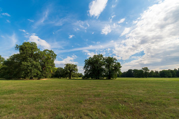 Green field and blue sky