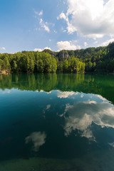Beautiful view of a lake and green forest. 