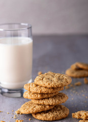 Glass of milk with oatmeal cookies, traditional breakfast