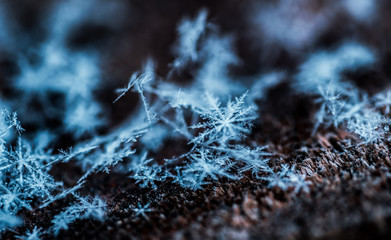 Frozen water. Snowflakes sparkling in the sun