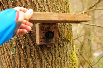 geocaching boy finds a well camouflaged cache in the forest