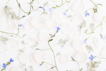 Fototapeta premium Festive flower composition on the white wooden background. Overhead view