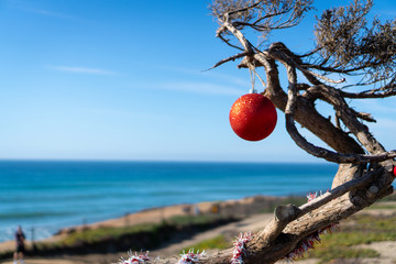 Tree decorated with red Christmas ornament on California beach