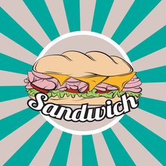 Vector illustration of sandwich made in hand drawn realistic style. Colorful artwork in cartoon pop art  sketch style. Template for business card poster banner flyer and print for t-shirt