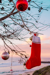 Tree decorated with Christmas ornaments on California beach at sunset