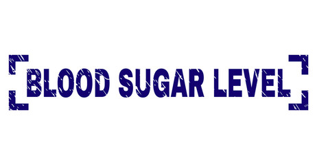 BLOOD SUGAR LEVEL text seal print with corroded texture. Text caption is placed inside corners. Blue vector rubber print of BLOOD SUGAR LEVEL with corroded texture.