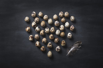 Quails eggs on dark background copy space.
