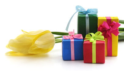 Yellow tulips and gifts.