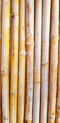 bamboo surface pattern 