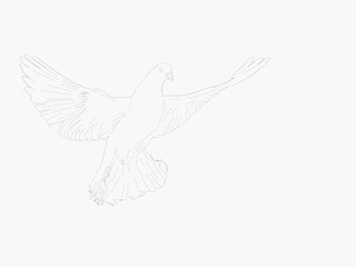 
Vector illustration of dove mosaic. drawing beautiful pigeon for the book. pigeon coloring page. peacock mosaic drawing.