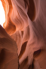 Lower Anteolpe Canyon Page Arizona