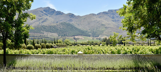 Cape Winelands - Franschhoek Valley - Grande Provence