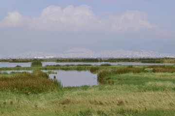 Ex lago de Texcoco