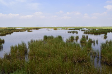 Ex lago de Texcoco