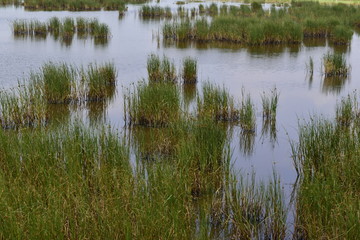 Ex lago de Texcoco