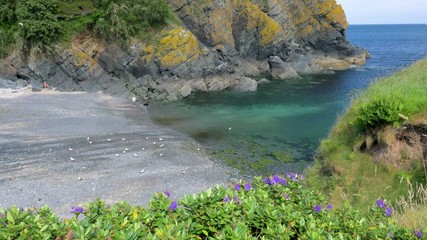 Man with a dog on the beach in Cadgwith Cove, Cornwall, England.