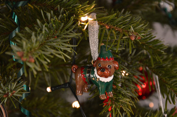 christmas decoration on tree (dog)