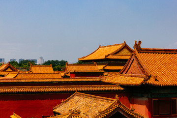 Fototapeta na wymiar Traditional Chinese architecture with yellow roof tiles, in Forbidden City, under blue sky, in Beijing, China
