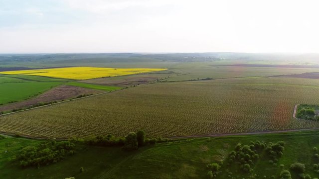 Aerial View Of Agricultural Land In Europe With Orchards And Fields.