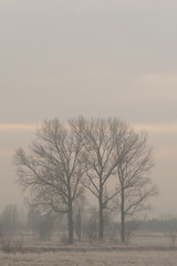 alba con nebbia