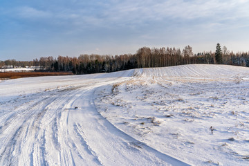 Fototapeta na wymiar Empty Countryside Landscape in Sunny Winter Day with Snow Covering the Ground, Abstract Background
