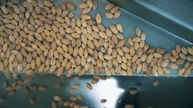 Factory for packaging of cereals and other food products.