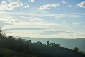 Naklejka na ściany i meble Views near Monforte d'Alba, Piedmont - Italy