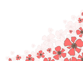 Bottom corner oxeye daisy flower decoration card. National flower of Belgium, Poland, Albania. Vector illustration template