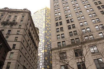 Fototapeta premium America, New York, Wall Street, Times Square