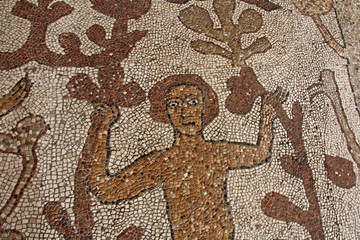 uomo su un albero; particolare del grande mosaico pavimentale della Cattedrale di Otranto