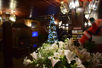 food, bar, natal, forest