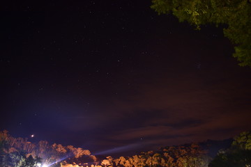 food, bar, natal, forest