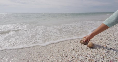 Seashells on beach - woman shelling picking up sea shells on Sanibel Island Florida in Florida near Fort Myers. Sanibel Island is know for shelling and sea shell collecting.