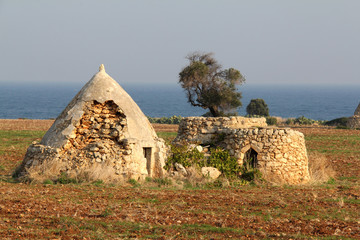 Fototapeta na wymiar antichi trulli nella campagna presso Polignano a Mare (Bari)