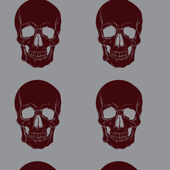 Vector pattern with illustration of skull in realistic hand drawn style. Template for print poster banner flyer.