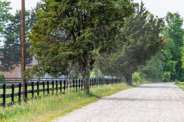 Summer road during day in Virginia rural farm countryside with nobody and dust on dirt road, fence and trees row lined