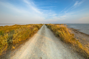 Road through lagoons of Camarque
