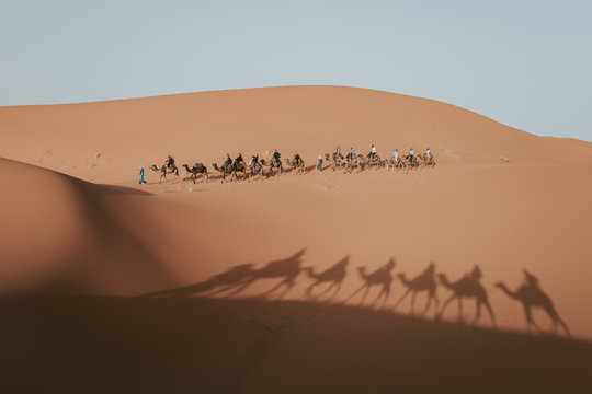Camelos