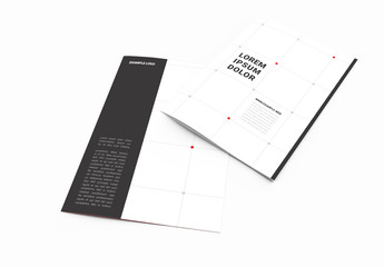 Black and White Brochure Layout