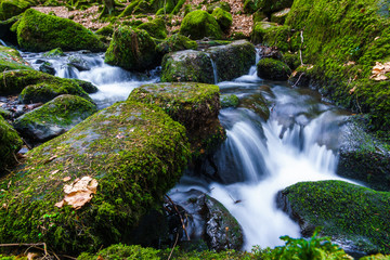 Silberbachtal, Horn-Bad Meinberg