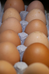 Fresh Brown Yard Eggs in Egg Carton