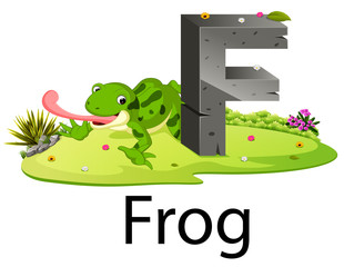 cute zoo animal alphabet F for frog with real animal  