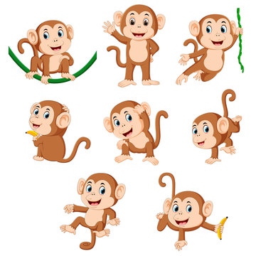the collection of the monkey playing on the green rope with the different posing 