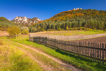 Obraz premium Colorful rural landscape in autumn, The Sulov Rocks National Nature Reserve, Slovakia, Europe.
