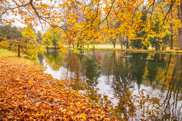 Fototapeta na wymiar Park with a lake in autumn colors.